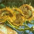 Van Gogh și ce reprezintă, de fapt, tablourile lui cu Floarea-Soarelui