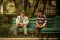 Care județe plătesc cele mai mari pensii din România?