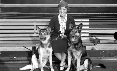 Dorothy Harrison Eustis și prima școală de dresaj de câini pentru nevăzători din SUA