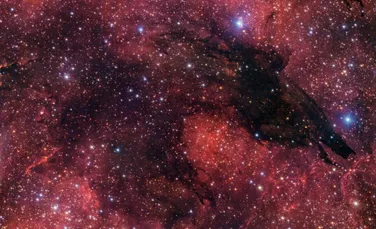 Nebuloasa Lupul Întunecat, văzută prin ochii Telescopului Foarte Mare din deșertul Atacama