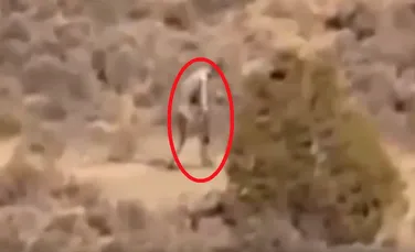O creatură bizară, surprinsă într-o zonă aridă din Portugalia. ”Este un extraterestru” – VIDEO