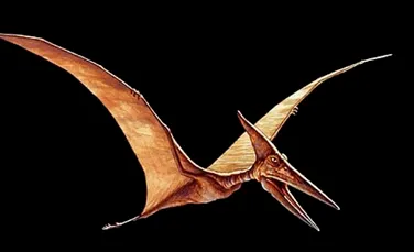 Pterosaurii uriasi puteau zbura de la un continent la altul