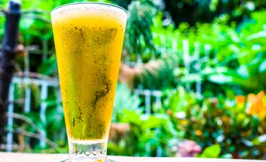 Un studiu arată de ce berea rece are un gust mai bun