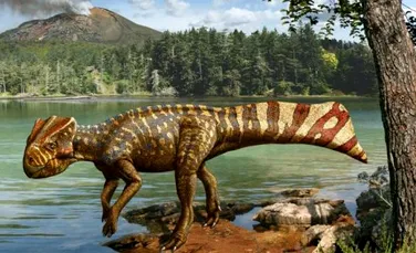 O noua specie de dinozaur a fost descoperita in Coreea de Sud