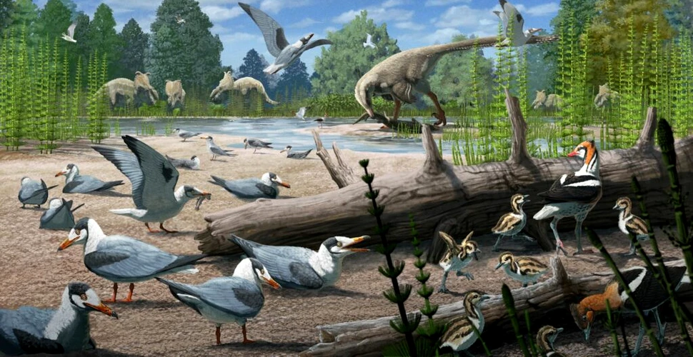 Un studiu a descoperit că păsările au trăit alături de dinozauri în Arctica