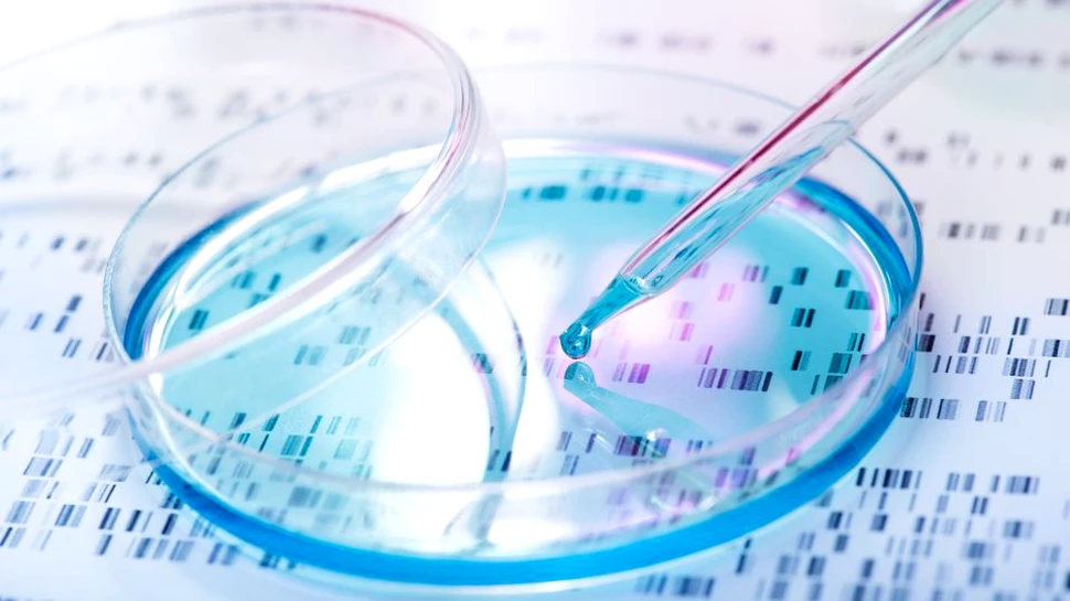 Numărul mutaţiilor genetice din ADN-ul unui nou născut variază în funcţie de părinţii acestuia