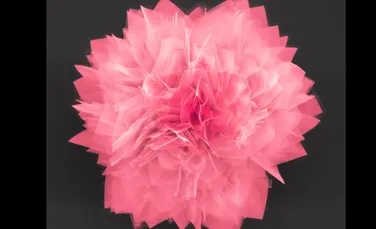 O “floare” cristalină de dimensiuni microscopice oferă noi soluţii pentru energetica viitorului