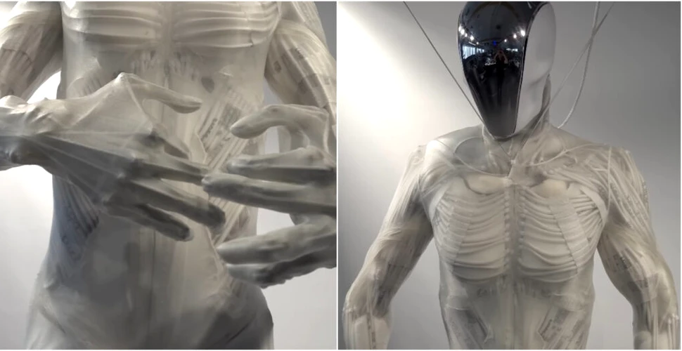 VIDEO: Cel mai corect robot din punct de vedere anatomic creat vreodată își flexează mușchii