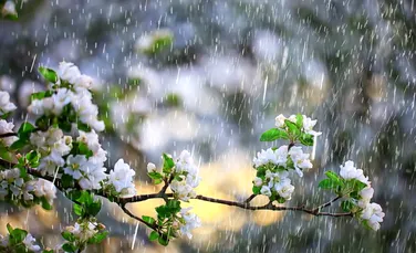Meteorologii atrag atenția: temperaturile scad brusc și vin ploile!