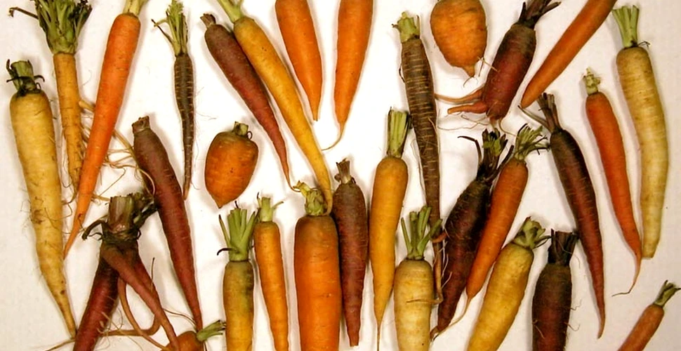 Legumele şi fructele urâte, în prim-plan: De ce se caută merele bătute de grindină, morcovii cu trei vârfuri sau prunele cu ”nas”