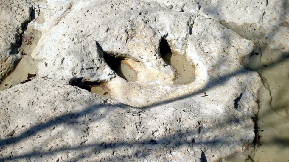 Cum este posibil ca urmele de dinozaur să se fosilizeze și să reziste milioane de ani?