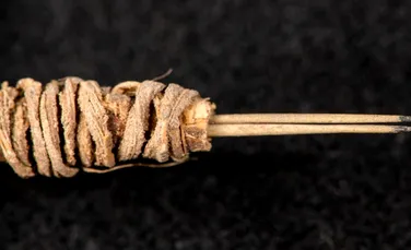 Un instrument de făcut tatuaje, vechi de 2.000 de ani, descoperit în America de Nord
