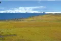 Imagini din satelit arată că Antarctica este mai verde astăzi decât în urmă cu 35 de ani