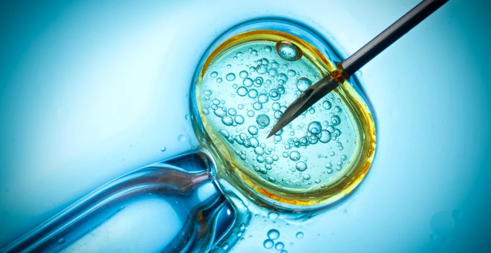 Costurile şi avantajele embrionilor criogenaţi