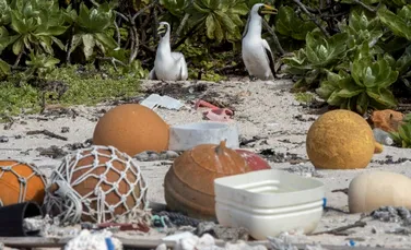 Deşeurile de plastic au transformat o insulă din Oceanul Pacific într-unul dintre cele mai poluate locuri de pe Pământ