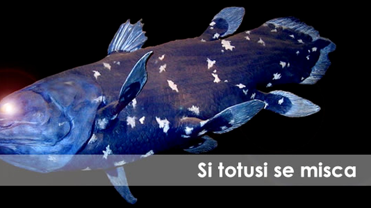 Si totusi se misca