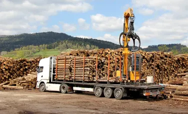 Peste 2.000 de metri cubi de lemn, confiscați în Maramureș. Care este valoarea lor