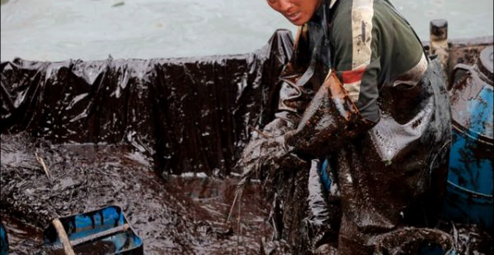 China lupta impotriva petrolului cu mainile goale (FOTO)