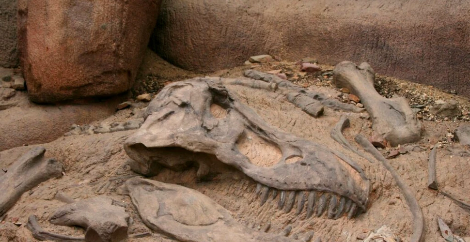 Fosilele unui dinozaur uriaș au provocat un accident rutier în Argentina