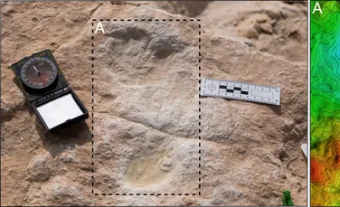 Urme de pași umani, vechi de 120.000 de ani, au fost descoperite în Arabia Saudită