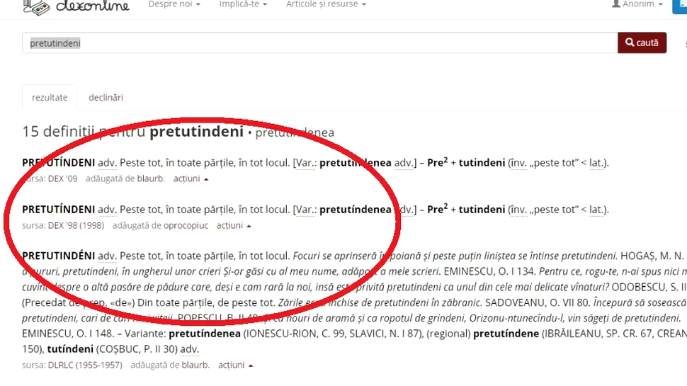 Ce s-a întâmplat pe Dex Online în timpul simulării la proba de limba română. ”Bănuiam că o să se întâmple”
