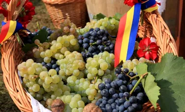 Cele mai scumpe vinuri din România, reapar pe piaţă. Cu cât se vinde o sticlă din celebrul vin de la Lechinţa