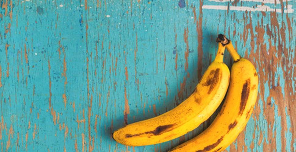 Oamenii de ştiinţă au creat un tip de banană care ar putea salva mii de vieţi în fiecare an