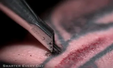 Ce se întâmplă cu pielea ta în timpul realizării unui tatuaj? (VIDEO)