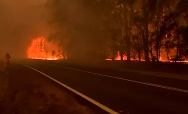 Incendiile din Australia par să nu se oprească. Mii de persoane au fost evacuate