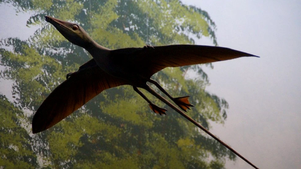 Descoperirea unor fosile oferă o imagine mai clară asupra abilităților de zbor a unei specii de dinozauri