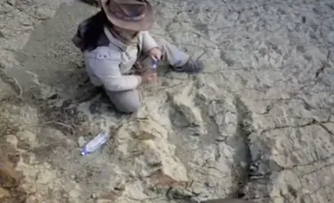 Descoperire surprinzătoare în Bolivia. ”Este mai mare decât oricare altă”. Cronologia dinozaurilor carnivori va trebui rescrisă – VIDEO