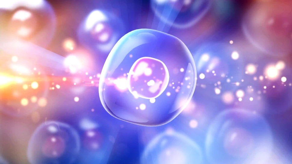 O sursă de energie ascunsă ar fi fost descoperită în jurul celulelor noastre