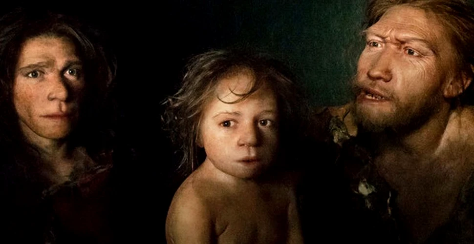 Creierul şi coloana vertebrală a copiilor din Neanderthal se dezvoltau diferit faţă de cele ale copiilor din prezent