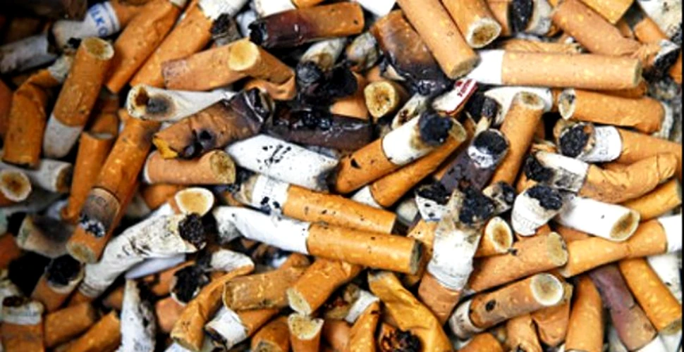 Waterloo, prima localitate belgiană care reciclează mucurile de ţigară