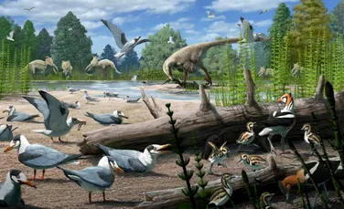Un studiu a descoperit că păsările au trăit alături de dinozauri în Arctica