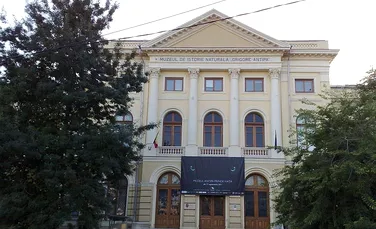 Muzeul Antipa din Bucureşti găzduieşte un vernisaj de grafică