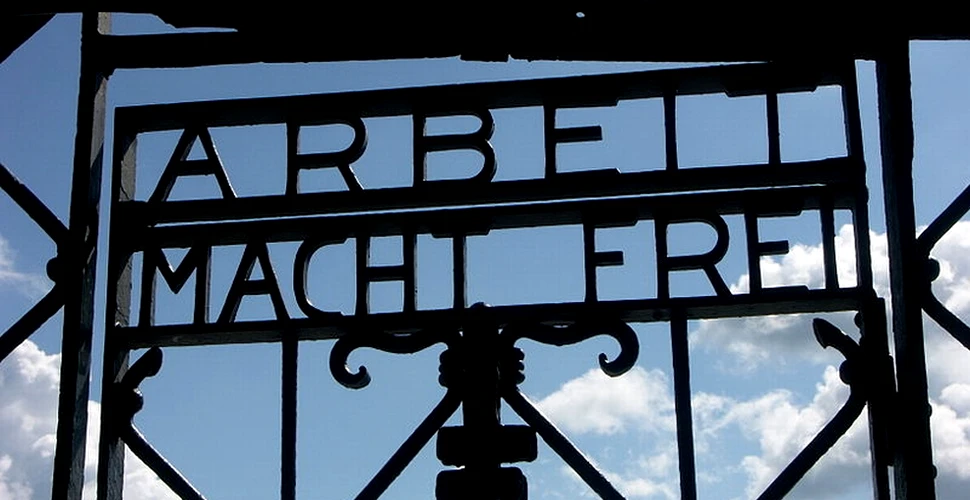 Experimente bizare în lagărul de concentrare de la Dachau. Cum plănuiau naziştii să folosească ţânţarii ca arme biologice