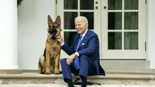 Ciobănescul german al lui Joe Biden i-a mușcat de 24 de ori pe cei de la Secret Service
