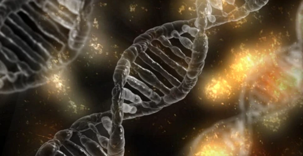 Oamenii au reuşit să proiecteze un organism al cărui cod genetic este în întregime sintetic