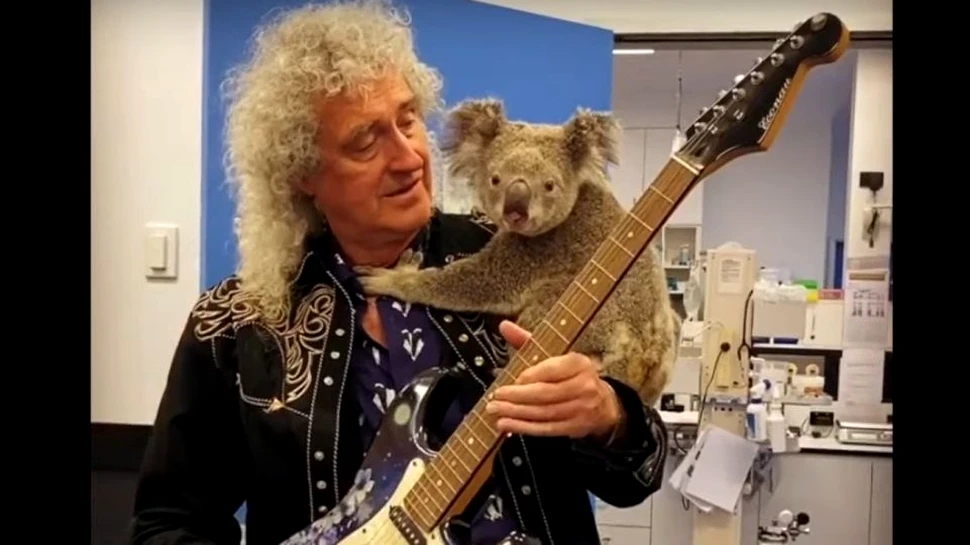Brian May, chitaristul trupei Queen, a cântat pentru un koala salvat din incendiile din Australia – VIDEO
