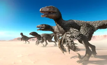 Penele de dinozaur fosilizate dezvăluie proteine conservate de milioane de ani