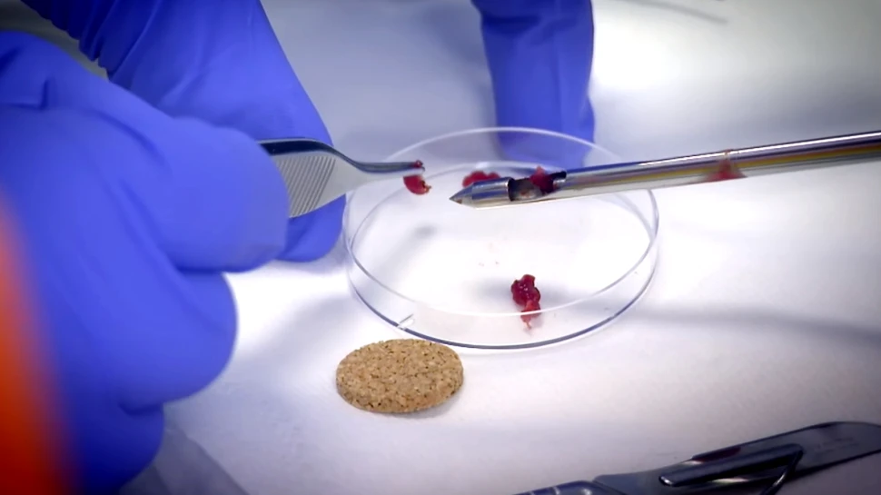 Ce gust are carnea de om? Experimentul macabru al unui bărbat – VIDEO