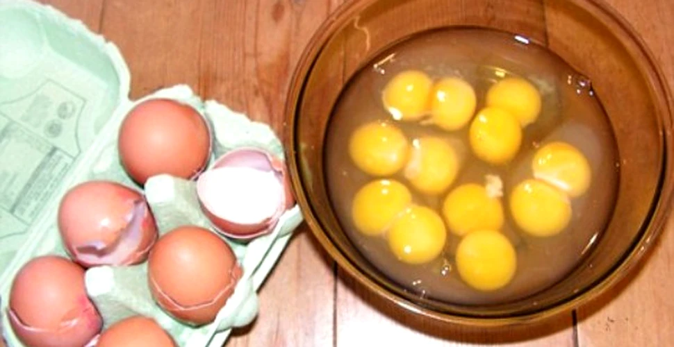 Cat de des intalnim oua cu dublu galbenus?