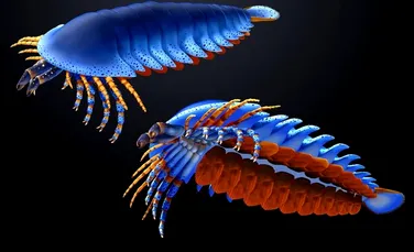 O nouă specie de păianjen preistoric descoperită în adâncuri a fost numită în onoarea lui Jacques Cousteau