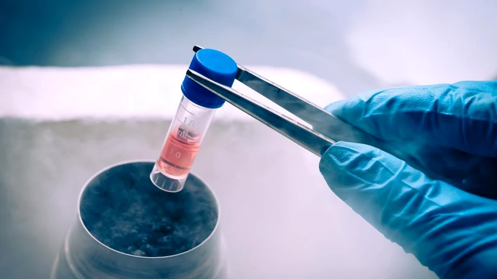Revoluţie în medicină: savanţii au creat în laborator, din celule stem, primul esofag uman