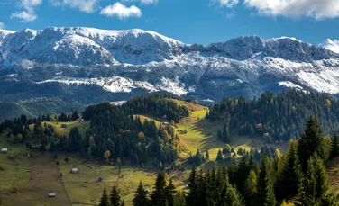 Pădurile din România vor fi monitorizate printr-un nou sistem