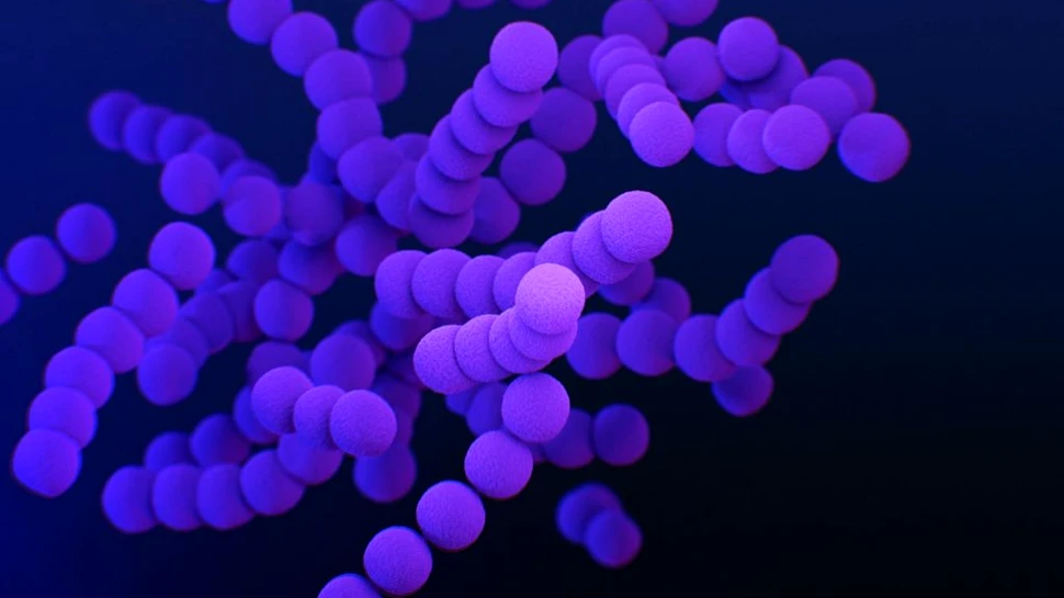 Cea mai mare bacterie descoperită vreodată îi uimește pe oamenii de știință. Ce dimensiuni are?