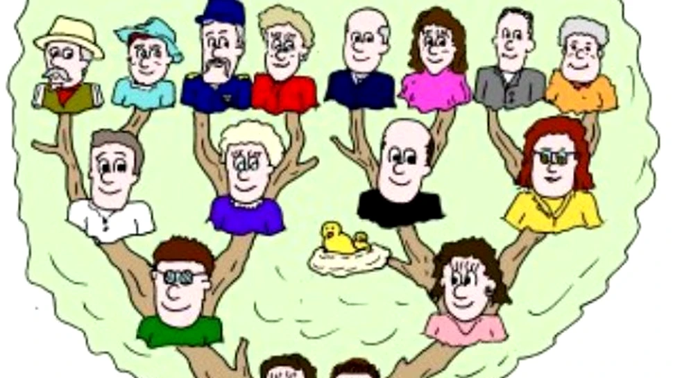 Secretul atractiei se afla in arborele genealogic