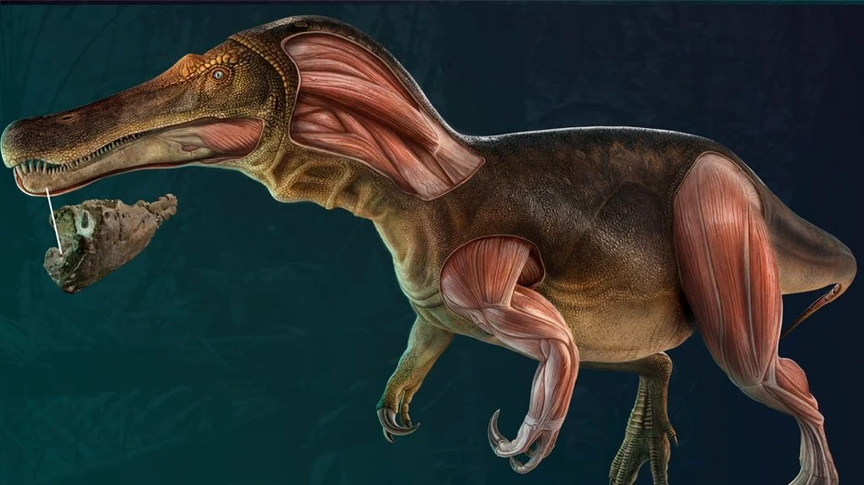 Cercetătorii au descoperit o specie unică de dinozaur. Cum arăta prădătorul?