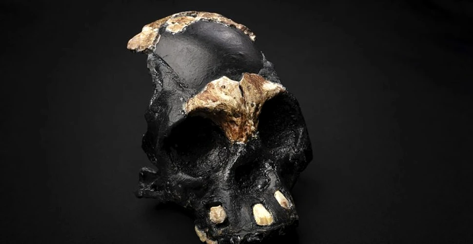 „Copilul întunericului” – un strămoș al oamenilor de acum 40.000 de ani, descoperit într-un pasaj îngust dintr-o peșteră